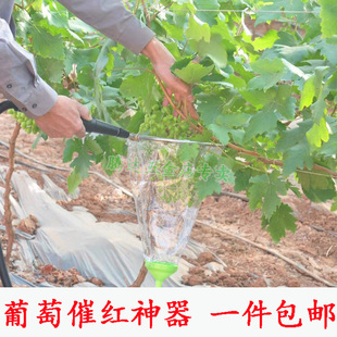 包邮葡萄膨果雾化喷头 药水药液回流器 拉花催红浸果 喷雾器四喷