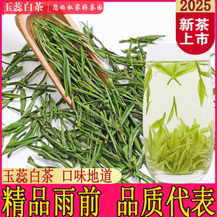 安吉玉蕊白茶2025新茶特级雨前绿茶精品高山珍稀叶散装250g罐装茶