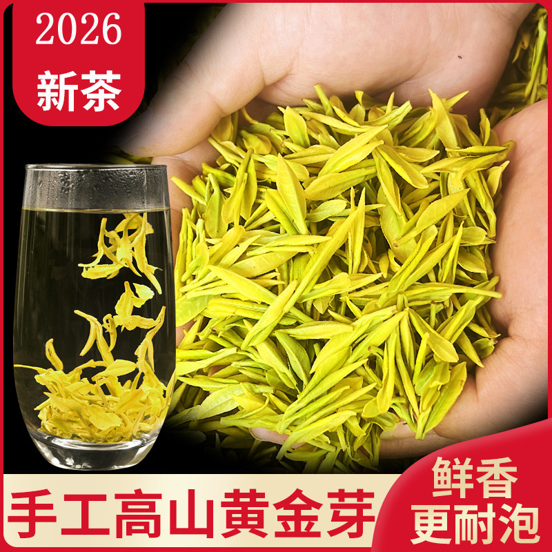安吉手工黄金芽2026新茶特级明前玉蕊高山绿茶浓香耐泡白茶预售