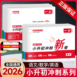 2025新版一本小升初冲刺新卷语文数学英语考卷大集结名校冲刺必备方案六年级小学升初中总复习重点资料专项训练知识真题模拟测试卷