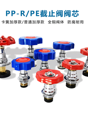 PPR PE截止阀阀芯全铜阀门芯水管管材46分加厚开关25闸阀水暖配件