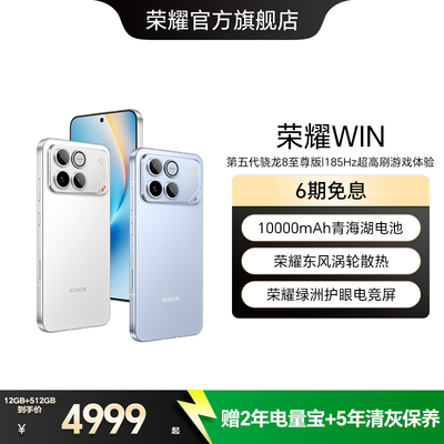 荣耀WIN10000mAh青海湖电池