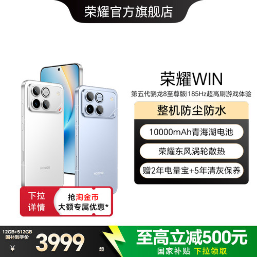 荣耀WIN10000mAh青海湖电池