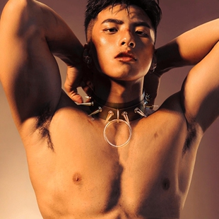 思慕小狼狗项圈颈链choker项链夸张铆钉圆环舞台另类束缚情侣玩具