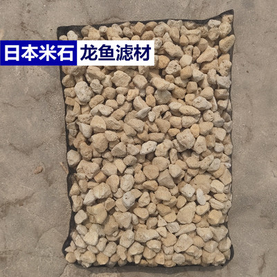 水族过滤一米龙神日本鱼缸