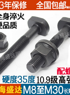 10.9级高强度全牙T型螺丝T形螺丝螺杆压板螺丝螺栓M8M12M16M20M24