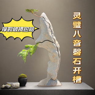 灵璧石盆景附石石头开槽附树石盆景附树石树抱石抱树石盆景奇石真