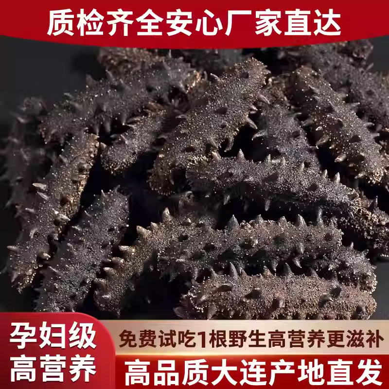 大连野生海参送礼国标海参