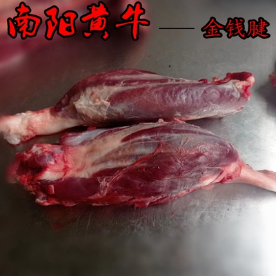 南阳原切牛腱子肉新鲜无添加不调理正宗散养南阳黄牛肉腱子金钱腱