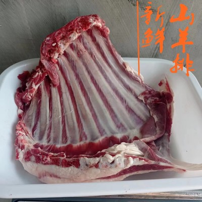 南阳盆地小山羊肉新鲜羊排羊蝎子 羊肋排现宰本地山羊羊腿肉500克