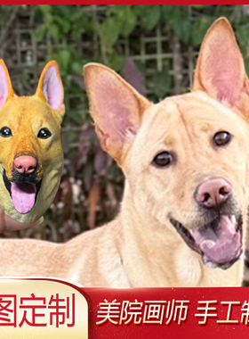 中华田园犬小鹿犬客厅装饰品摆件比熊犬车载装饰博美犬冰箱贴定制