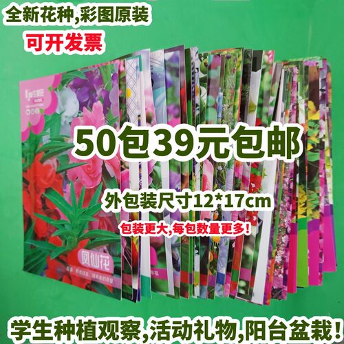 花卉种子儿童学生奖品种植彩图装