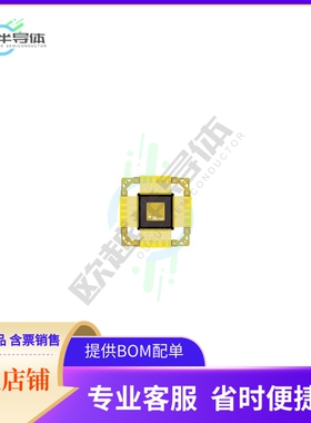 MCU微控制芯片5962-0153001QXA 原装正品提供电子元器配单服务
