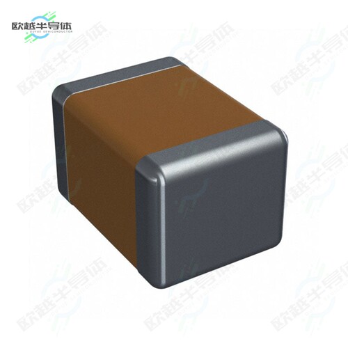 VC14MT0600KBA[电路保护VARISTOR 100V 400A 1812]