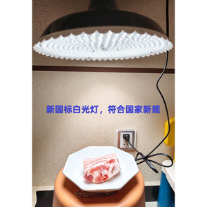 新国标LED农贸市场摊位白光吊灯E27螺口