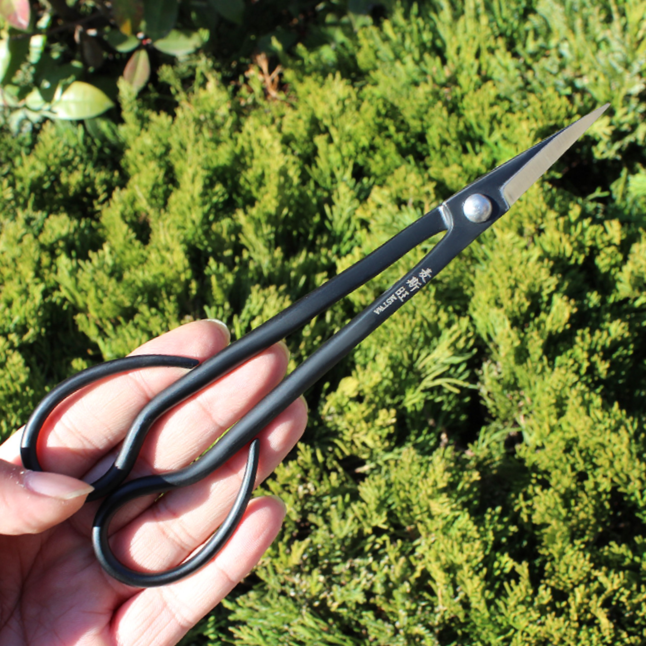 麦斯旺叶芽剪剪根剪小头随手剪细枝嫩芽修剪兰花分苗盆景造型工具