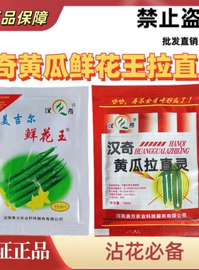 汉奇美吉尔黄瓜鲜花王拉直灵蘸花药沾花药膨果快顺直拉长防畸形瓜