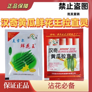 汉奇美吉尔黄瓜鲜花王拉直灵蘸花药沾花药膨果快顺直拉长防畸形瓜