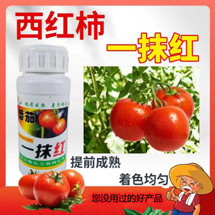汉奇化工番茄一抹红西红柿催熟催红早熟促进转色成熟大番茄专用