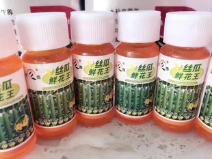 汉奇化工丝瓜鲜花王丝瓜授粉药蘸花药沾花药防化瓜膨果快顶鲜花