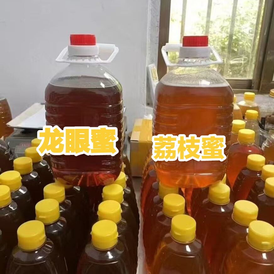 荔枝蜜白糖罂桂味荔枝花原蜜纯天蜂蜜