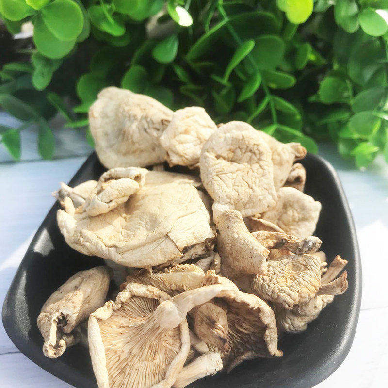 承德塞罕坝白蘑菇新货  野生小白蘑围场坝上特产干货