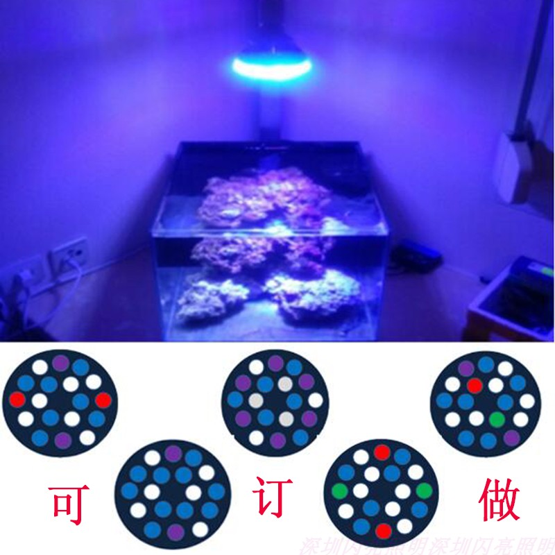 珊瑚灯蓝光海鱼杀菌定做220vled