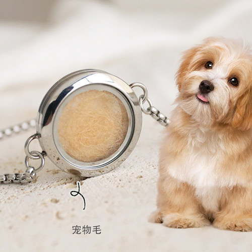 宠物毛发纪念品diy手链