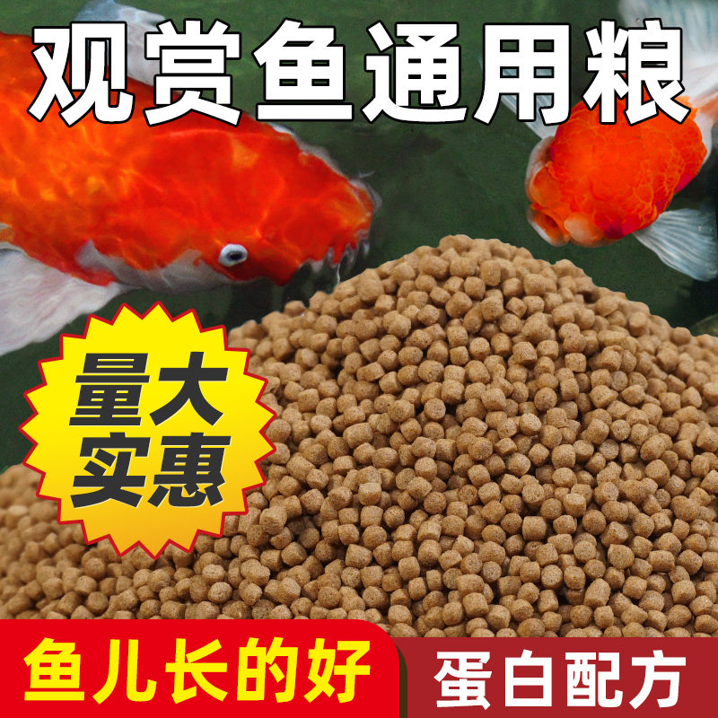 鱼食锦鲤鱼饲料金鱼专用小颗粒通用鱼粮观赏鱼草金鱼兰寿家用鱼料,宠物/宠物食品及用品,观赏鱼饲料,淘宝优惠券,粉丝福利购,淘宝优惠卷