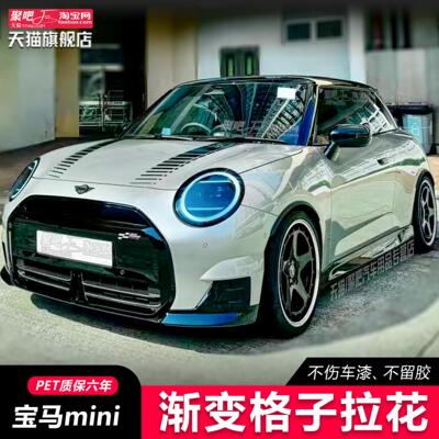 新宝马mini车头贴艺术家