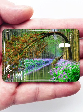 江苏泰州旅游景点冰箱贴