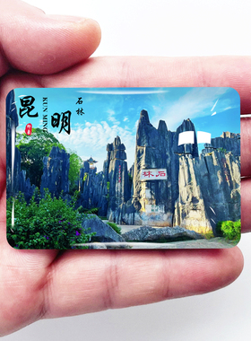 云南昆明旅游景点冰箱贴石林滇池
