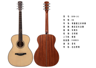 RAGWEED LS1单板电箱吉他 ROM