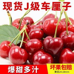 顺丰包邮现货J级车厘子精选大樱桃新鲜当季时令水果1/2/3/5斤