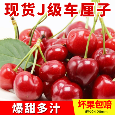 顺丰包邮现货J级车厘子精选大樱桃新鲜当季时令水果1/2/3/5斤