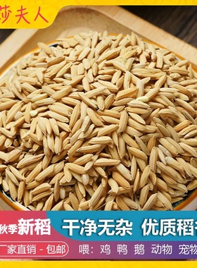 稻谷农家天然喂鸡饲料50斤小鸡芦丁鸡小鸟鹦鹉喂食谷子稻子