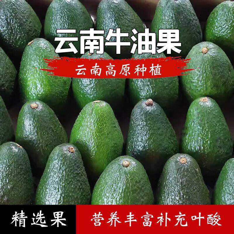 牛油果国产哈斯牛油果云南高原高山老农种植新鲜水果包邮,水产肉类/新鲜蔬果/熟食,牛油果,淘宝优惠券,粉丝福利购,淘宝优惠卷