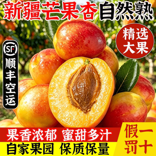 新疆芒果杏，个头饱满香甜多汁