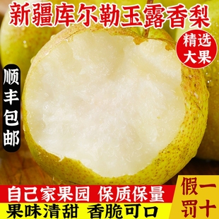 新疆库尔勒玉露香梨新鲜水果应季精选大果礼盒整箱梨子脆甜多汁