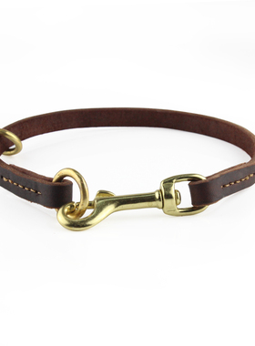 PETCARE 宠物狗绳宠物项圈狗项圈牵引绳 黄铜扣头多用途金毛德牧