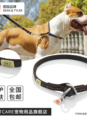 德国DEAN & TYLER Pro专业不锈钢圆环油脂牛皮P链项圈狗圈脖套