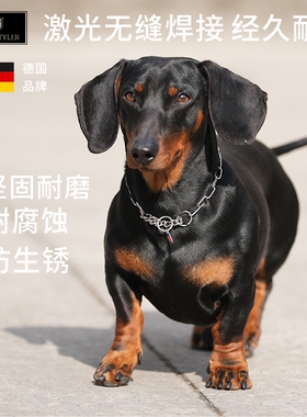 德国DEAN TYLER高强度半控制不锈钢短节P链轻量项圈小犬柯基腊肠