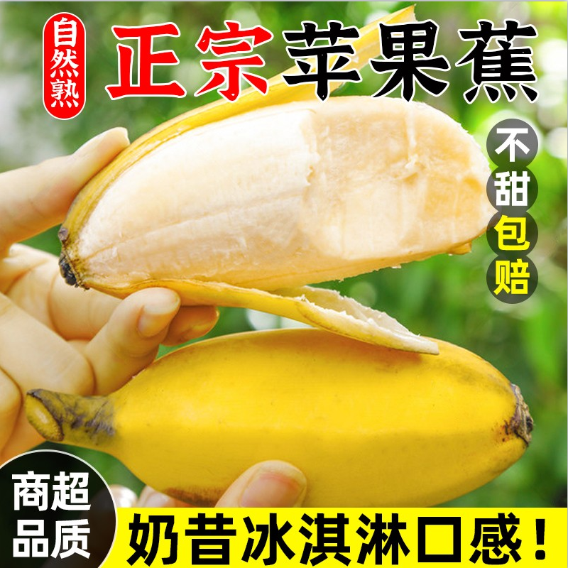 618活动 抢现货 放熟再吃 正宗广西苹果蕉软糯香甜 孕妇水果
