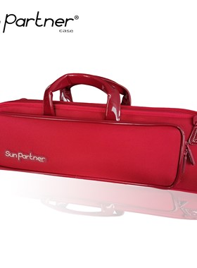 SunPartner/日伴官方旗舰店 小号包 精致乐器箱包TR820