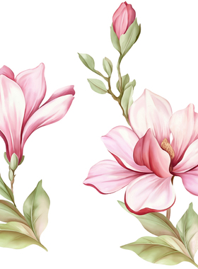 P301高清电脑手绘玉兰花朵植物图案 手绘花PSD分层平面设计素材