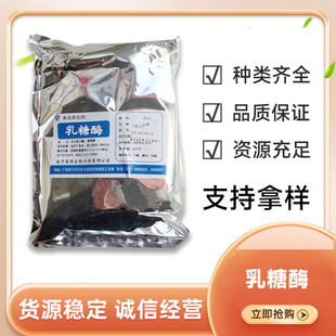 乳糖酶食品级乳糖酶酶制剂1万AIU/G酶活力乳糖酶 1kg/