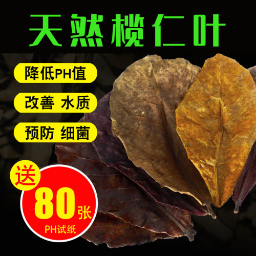 榄仁叶小型降酸调节水质预防真菌