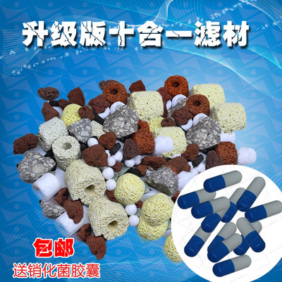 过滤材料火山石培养硝化细菌水清