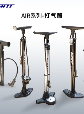 捷安特AIR系列美法嘴通用打气筒