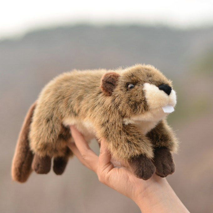 仿真河狸eurasianbeaver仿真海狸鼠毛绒玩具动物公仔玩偶儿童礼品